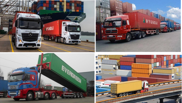 saromed profile22750